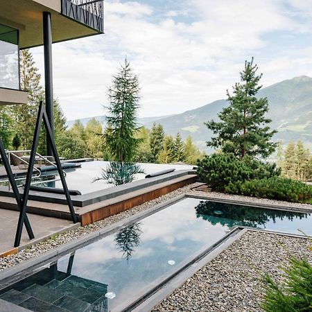 فندق My Arbor - Dolomites بريسّانوني المظهر الخارجي الصورة A private swimming pool in the Alps